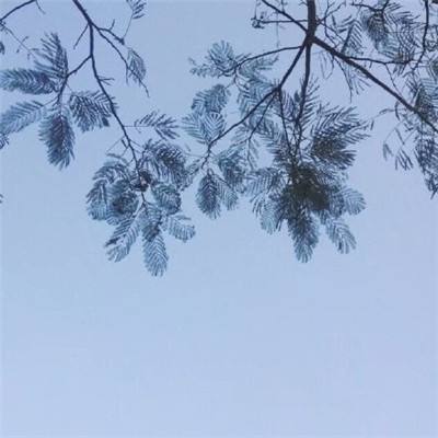开局一条小青龙变态版下载